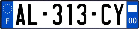 AL-313-CY