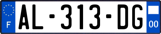 AL-313-DG