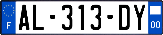AL-313-DY