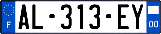 AL-313-EY
