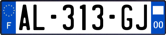 AL-313-GJ