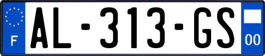 AL-313-GS