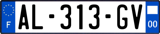 AL-313-GV