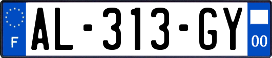 AL-313-GY
