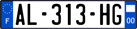 AL-313-HG