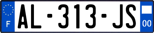 AL-313-JS