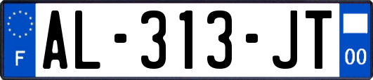AL-313-JT