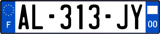 AL-313-JY