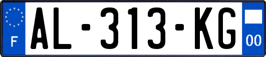 AL-313-KG