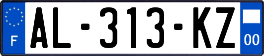 AL-313-KZ
