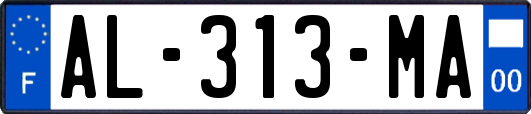 AL-313-MA