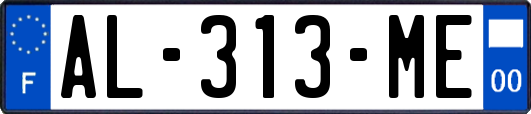 AL-313-ME