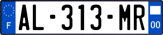 AL-313-MR