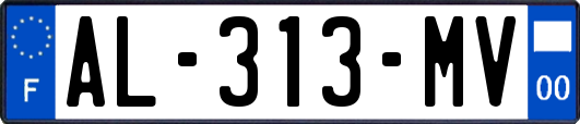 AL-313-MV
