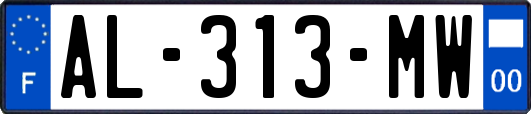 AL-313-MW