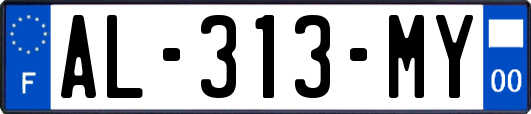 AL-313-MY