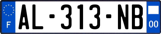 AL-313-NB