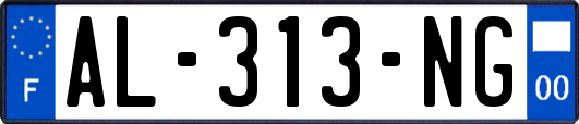 AL-313-NG