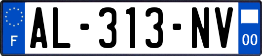AL-313-NV