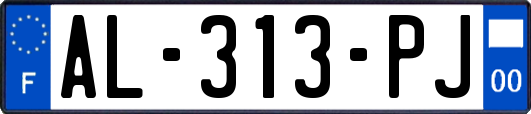 AL-313-PJ