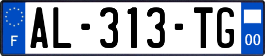 AL-313-TG