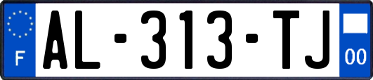 AL-313-TJ