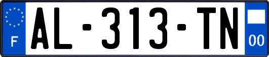 AL-313-TN