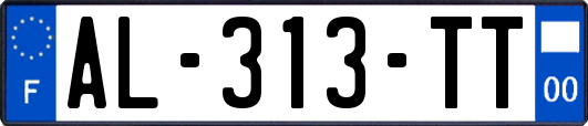AL-313-TT