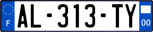 AL-313-TY