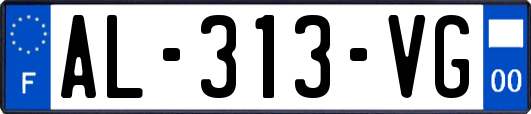 AL-313-VG