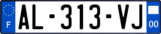 AL-313-VJ