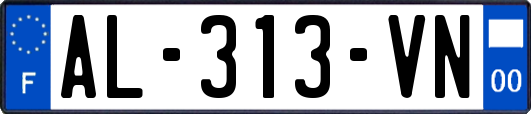 AL-313-VN