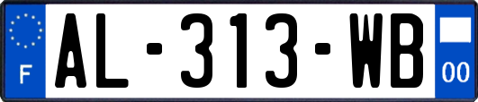 AL-313-WB