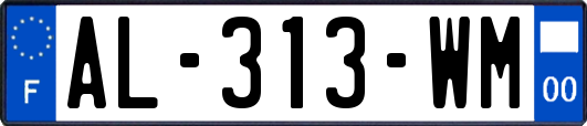 AL-313-WM
