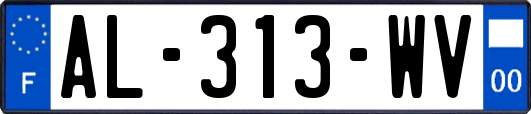 AL-313-WV
