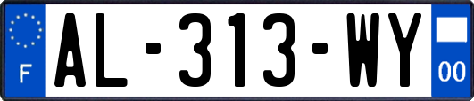AL-313-WY