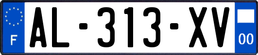 AL-313-XV
