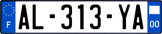 AL-313-YA