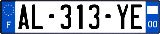 AL-313-YE