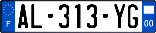 AL-313-YG
