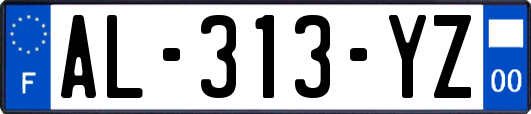 AL-313-YZ