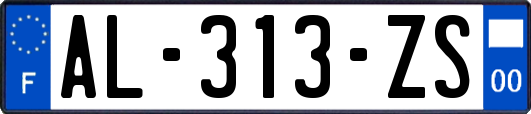 AL-313-ZS