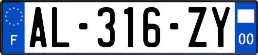 AL-316-ZY