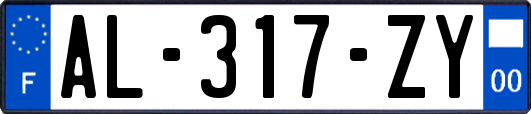 AL-317-ZY