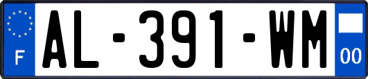 AL-391-WM