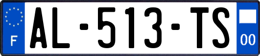 AL-513-TS