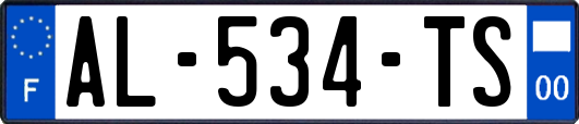 AL-534-TS