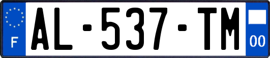 AL-537-TM