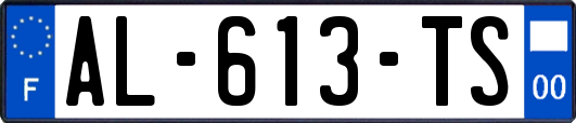 AL-613-TS