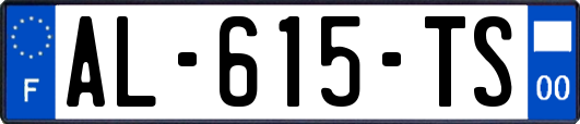 AL-615-TS